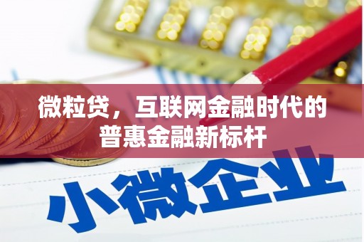 滦南微粒贷，互联网金融时代的普惠金融新标杆