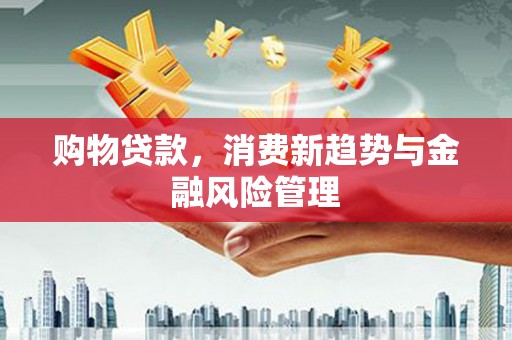 滦南购物贷款，消费新趋势与金融风险管理
