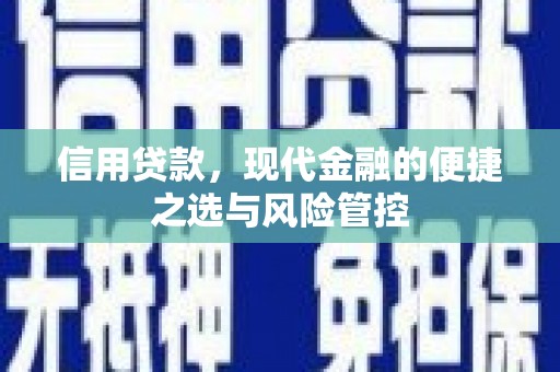 滦南信用贷款，现代金融的便捷之选与风险管控