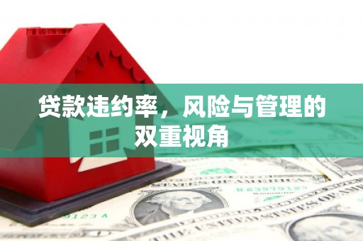 滦南贷款违约率，风险与管理的双重视角