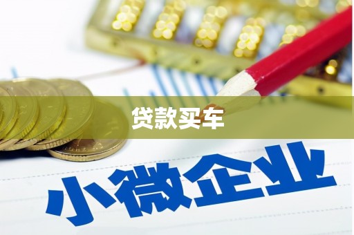 滦南贷款买车