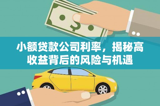 滦南小额贷款公司利率，揭秘高收益背后的风险与机遇