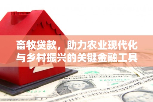 滦南畜牧贷款，助力农业现代化与乡村振兴的关键金融工具