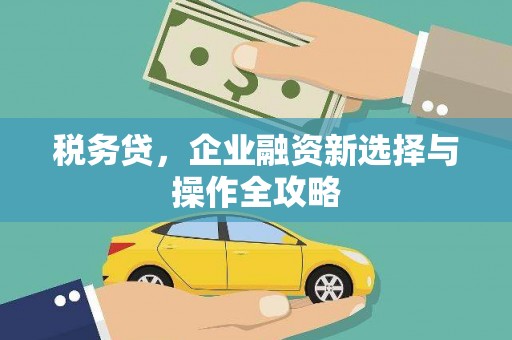 滦南税务贷，企业融资新选择与操作全攻略
