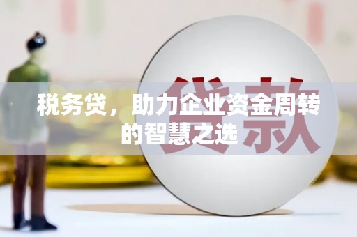滦南税务贷，助力企业资金周转的智慧之选