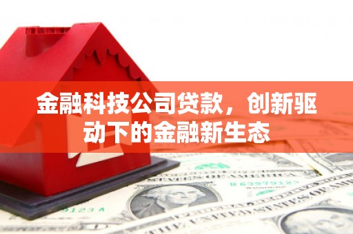 滦南金融科技公司贷款，创新驱动下的金融新生态