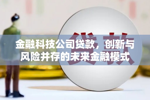 滦南金融科技公司贷款，创新与风险并存的未来金融模式