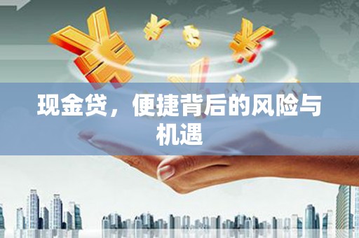 滦南现金贷，便捷背后的风险与机遇