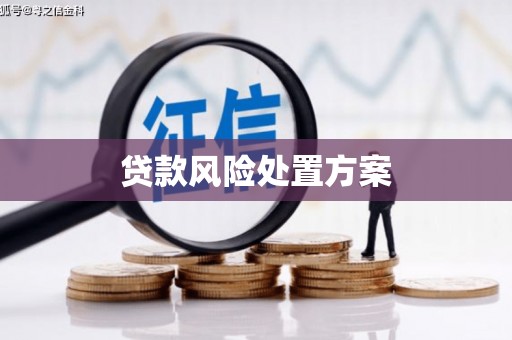滦南贷款风险处置方案