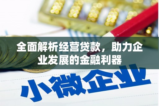 滦南全面解析经营贷款，助力企业发展的金融利器