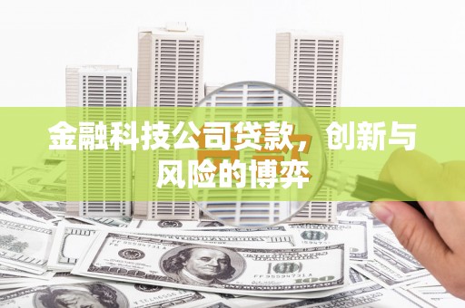 滦南金融科技公司贷款，创新与风险的博弈
