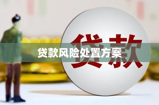 滦南贷款风险处置方案
