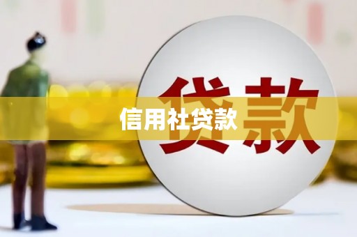 滦南信用社贷款