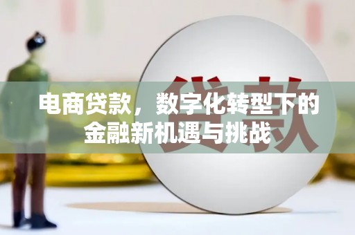 滦南电商贷款，数字化转型下的金融新机遇与挑战
