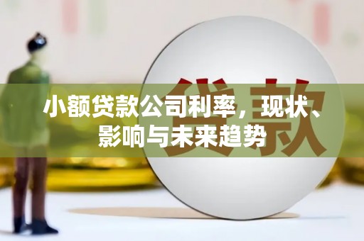 滦南小额贷款公司利率，现状、影响与未来趋势