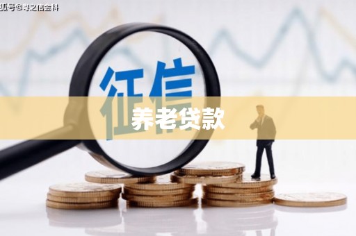 滦南养老贷款