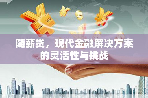 滦南随薪贷，现代金融解决方案的灵活性与挑战