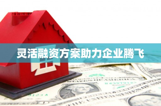 滦南灵活融资方案助力企业腾飞