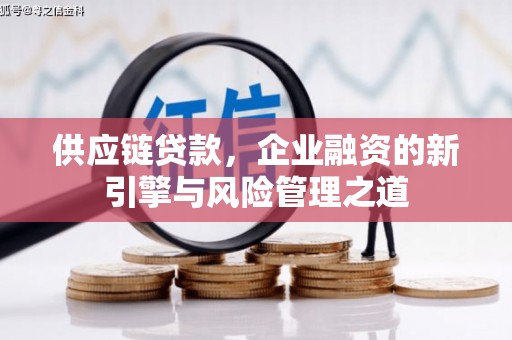滦南供应链贷款，企业融资的新引擎与风险管理之道