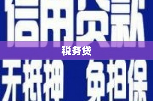 滦南税务贷