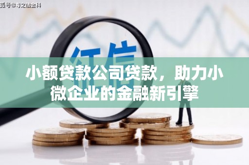 滦南小额贷款公司贷款，助力小微企业的金融新引擎