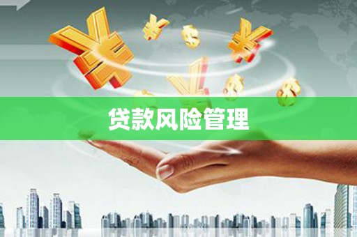 滦南贷款风险管理