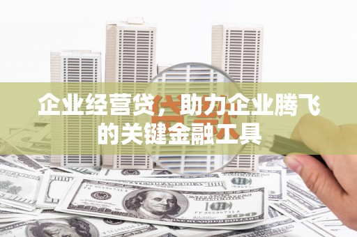 滦南企业经营贷，助力企业腾飞的关键金融工具