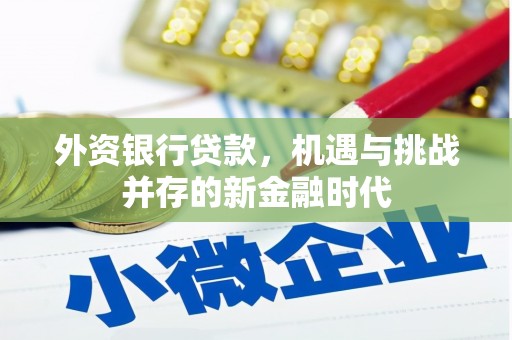 滦南外资银行贷款，机遇与挑战并存的新金融时代