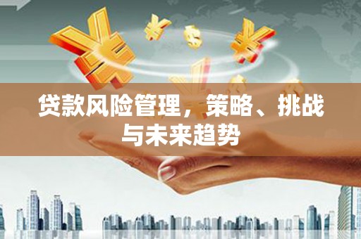 滦南贷款风险管理，策略、挑战与未来趋势