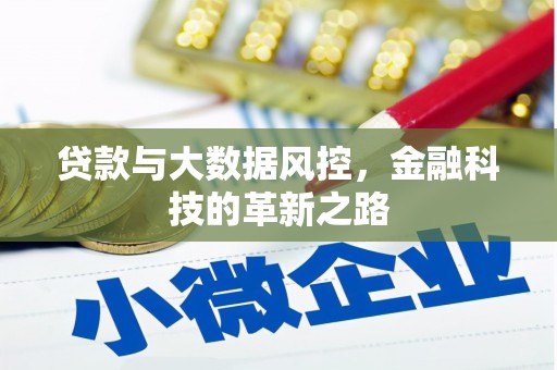 滦南贷款与大数据风控，金融科技的革新之路