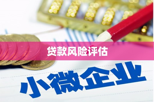 滦南贷款风险评估