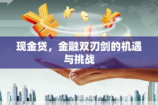 滦南现金贷，金融双刃剑的机遇与挑战