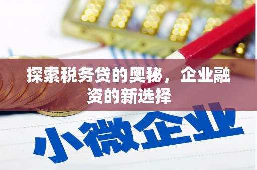 滦南探索税务贷的奥秘，企业融资的新选择
