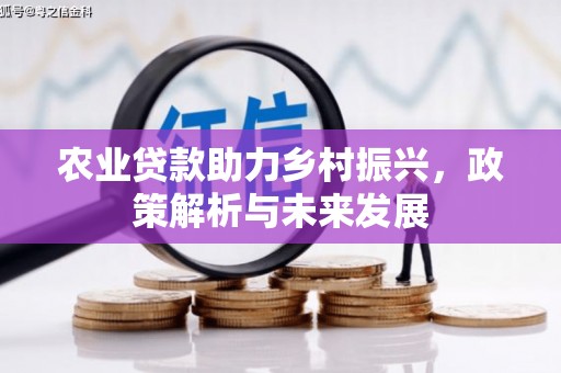 滦南农业贷款助力乡村振兴，政策解析与未来发展