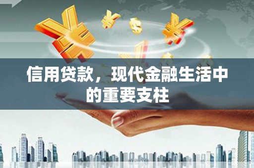 滦南信用贷款，现代金融生活中的重要支柱
