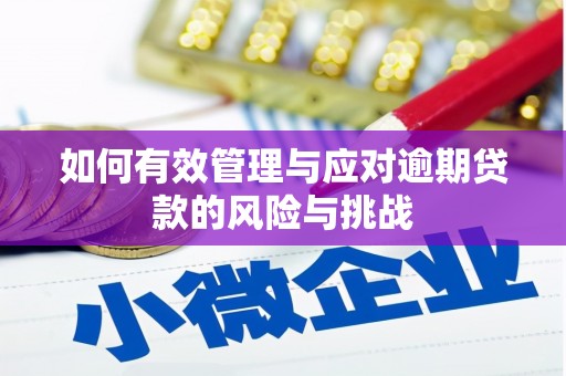 滦南如何有效管理与应对逾期贷款的风险与挑战