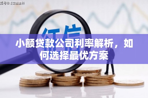 滦南小额贷款公司利率解析，如何选择最优方案