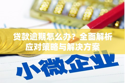 滦南贷款逾期怎么办？全面解析应对策略与解决方案