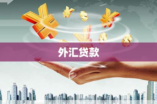 滦南外汇贷款
