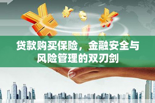 滦南贷款购买保险，金融安全与风险管理的双刃剑