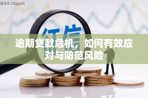 滦南逾期贷款危机，如何有效应对与防范风险