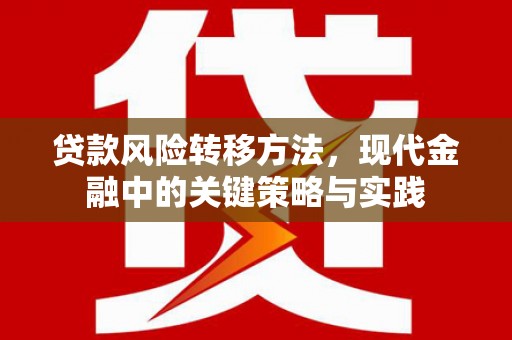 滦南贷款风险转移方法，现代金融中的关键策略与实践