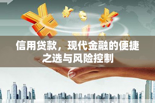 滦南信用贷款，现代金融的便捷之选与风险控制