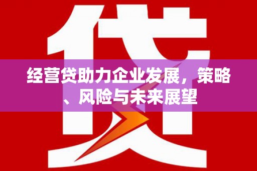 滦南经营贷助力企业发展，策略、风险与未来展望