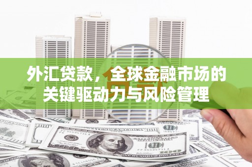 滦南外汇贷款，全球金融市场的关键驱动力与风险管理