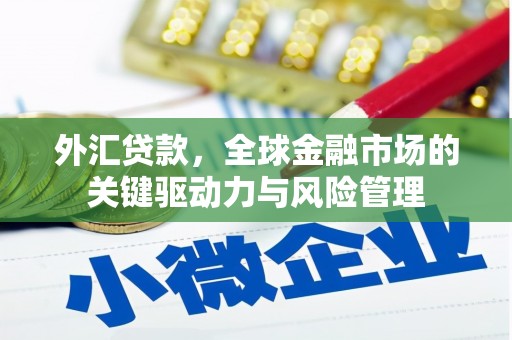 滦南外汇贷款，全球金融市场的关键驱动力与风险管理