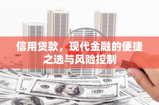 滦南信用贷款，现代金融的便捷之选与风险控制
