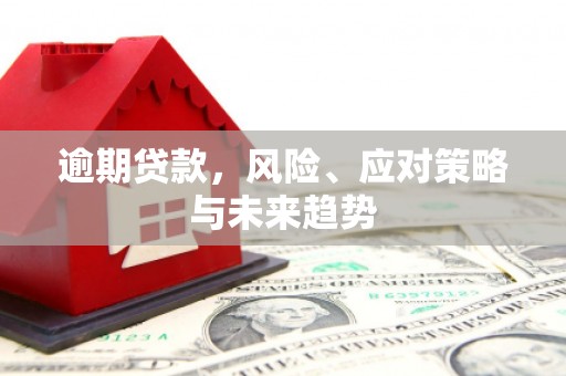 滦南逾期贷款，风险、应对策略与未来趋势