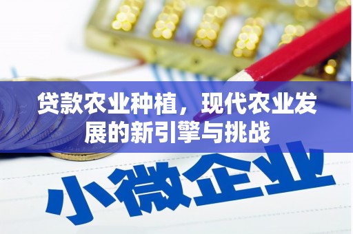 滦南贷款农业种植，现代农业发展的新引擎与挑战