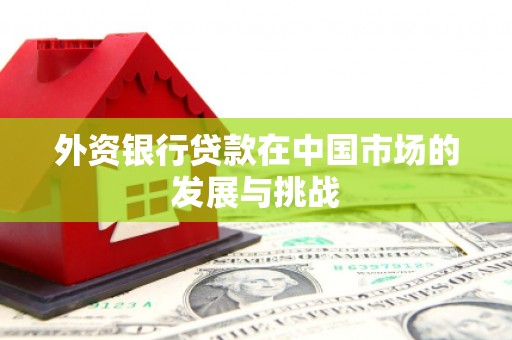 滦南外资银行贷款在中国市场的发展与挑战